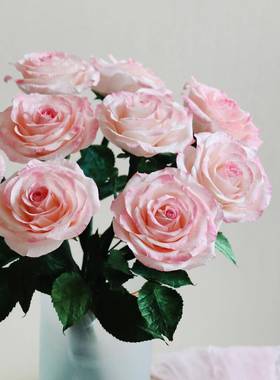 纸藤染色纸玫瑰材料包节手工花DIY套装皱bzl66360纸纹花日手工礼