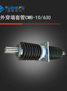 CWW-CW-35KVJCH/150A-2000A0-4000A户外高陶压穿墙C套管40.5KV瓷