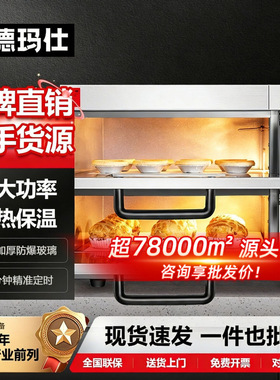 德玛仕商业用烤箱鸡翅披萨地瓜月饼烘焙专用 大功率多功能电烤箱
