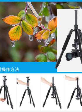 伟峰628/629/6663A单相反照机三脚架像微单专业摄影摄便角携WF-62