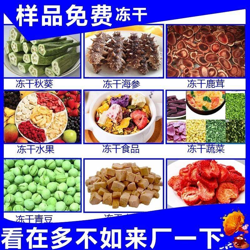 商用真FSK空冻干机器生产线物食品冷草莓茶叶宠干冻设备真空冻干