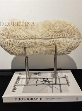 现代简约天然海产品珊瑚装饰品摆件样板间玄关柜体天然珊瑚装饰品