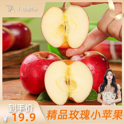 【小田tia推荐】新鲜山西玫瑰小苹果红苹果果园直发净重3-4.5斤
