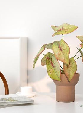 假绿植内饰客茶室几桌面摆件家居装品厅仿生植F968HMJM物盆栽