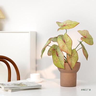 假绿植内饰客茶室几桌面摆件家居装品厅仿生植F968HMJM物盆栽