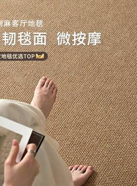 仿剑麻地毯客厅耐脏易打理新fjm11625款中风卧室滑防猫面抓地垫古
