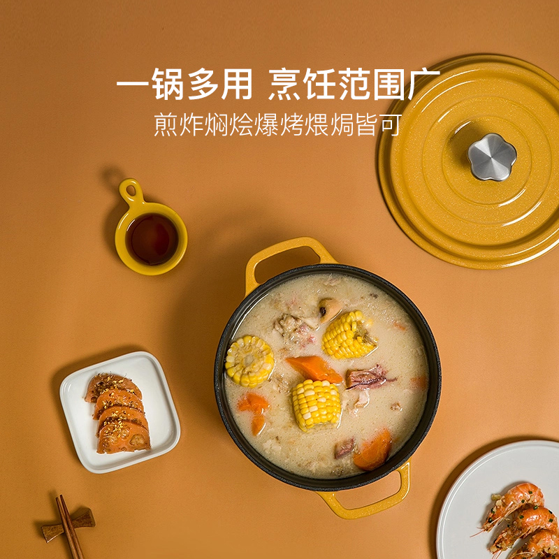 网易严选珐琅锅家用炖锅经典铸铁锅煲汤锅加厚22cm单人多功能煲