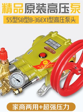 神龙苏州猫高压清洗机洗车机4040泵55型58型558型B-36EX1高压泵