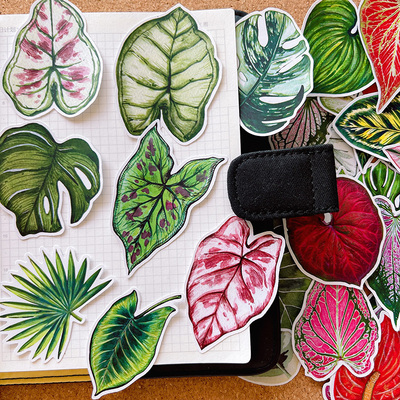 简约治愈可爱的叶子手账贴纸