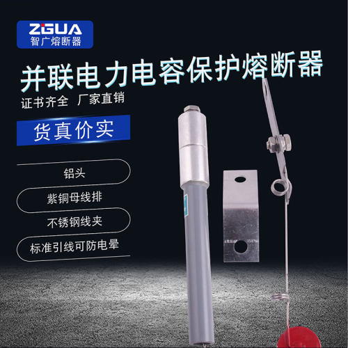智广并联电容器电力电容保护用高压熔断器BRW,BRN,BR1/3A-100A