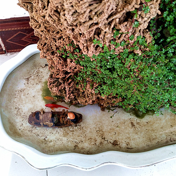 天然麦管石原石 吸水石假山盆景上水石原石 水秀石芦管石鱼缸造景