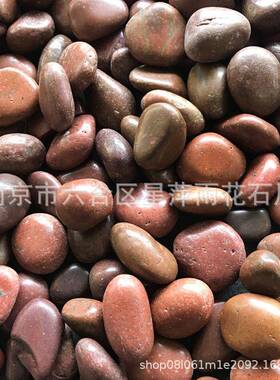 多肉花盆鱼缸装石头小饰然石子庭院五色天PSX鹅卵石南彩京雨花石
