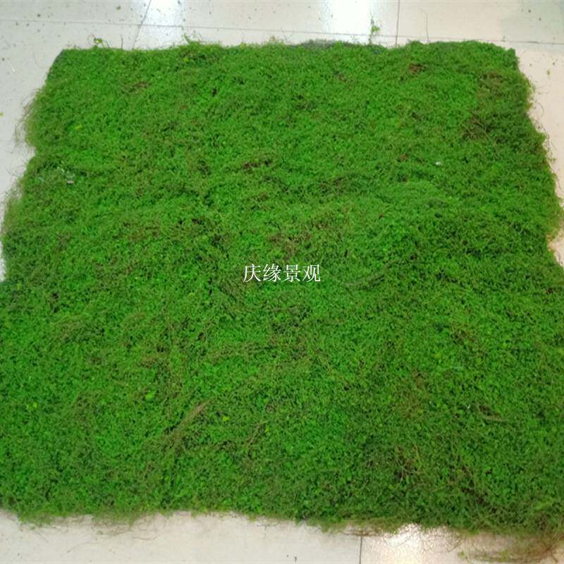 仿真青苔草皮微景观造景橱窗装饰假苔藓植物墙假绿植人造草坪地毯