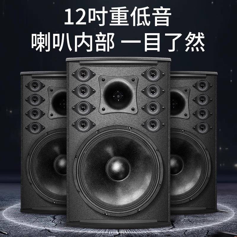 科12寸专会业议音响大55634型舞台演出音箱家音用1达0寸KTV卡拉ok