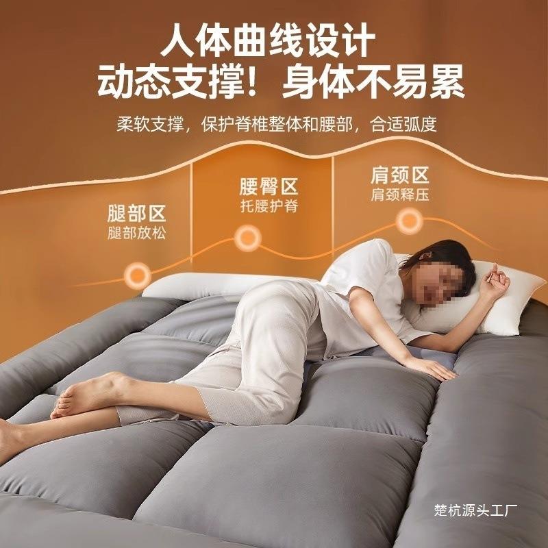 地垫睡垫可榻榻米地铺垫床垫软塌垫家用卧室出租房THWKZZZK折叠不