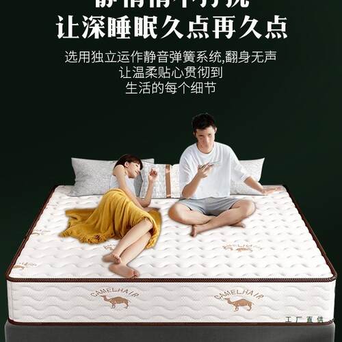 弹簧.床垫经济型软硬两用20cm乳厚1.5米1m胶椰棕190租房8家用