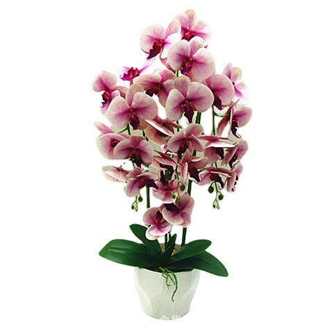 件高品质蝴蝶兰仿真花ZFA盆栽高档胶225新款摆客0厅塑料花假花朵
