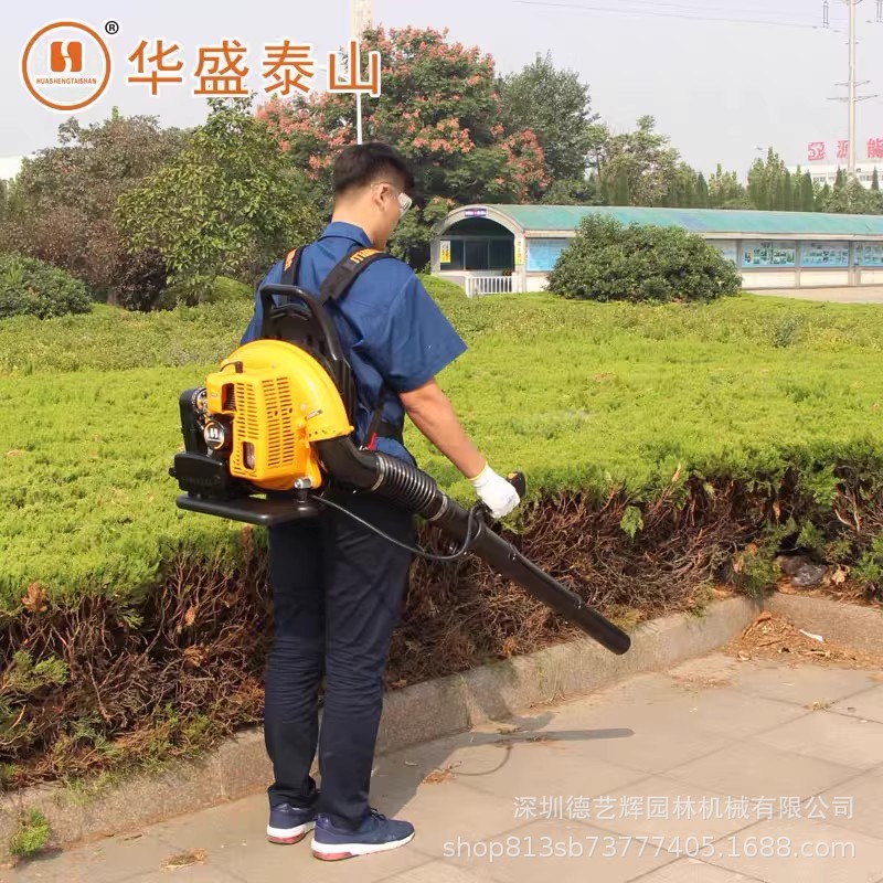 华盛EB-650背负式工业除尘风机