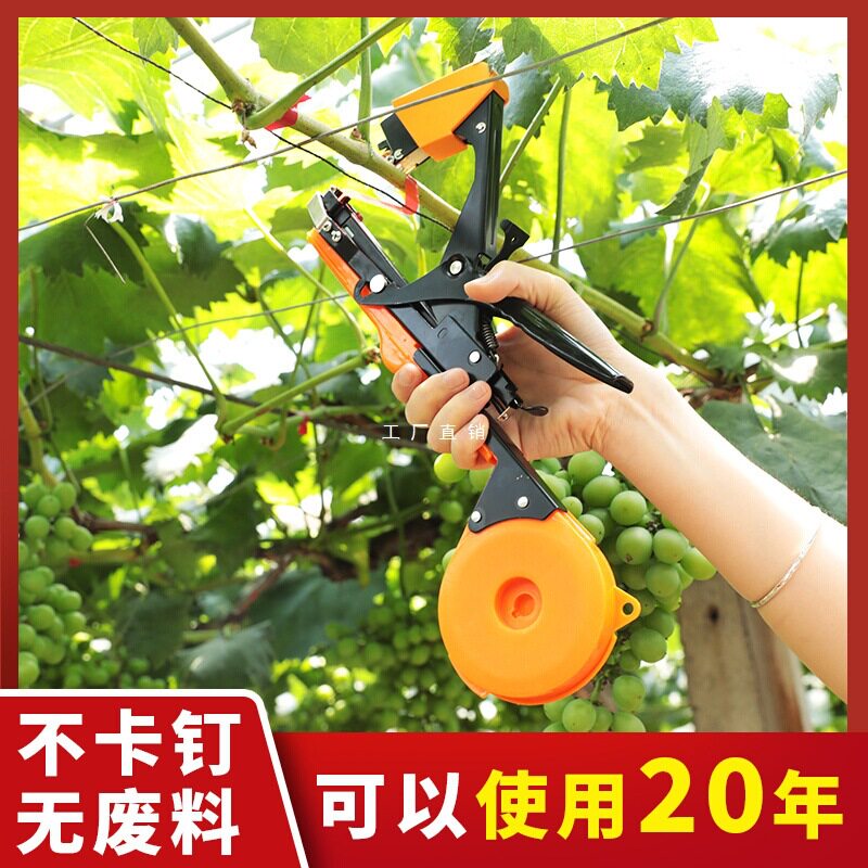 真情葡萄西红柿黄瓜绑枝机