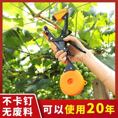真情葡萄西红柿黄瓜绑枝机