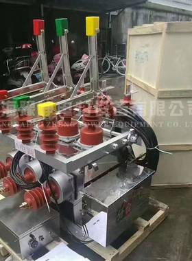 ZW10-12/T630-20户外高压真空断路器 10千伏真空断路器保护变压