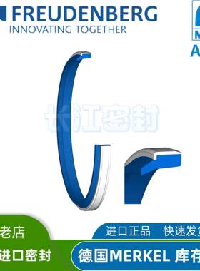 CFW C1 AUAS 120-130-7/10 德国科德宝FREUDENBERG进口MERKEL防