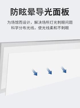 dWS-K001-室内羽毛影球球体育场馆专用篮灯无照明le不刺眼防眩高