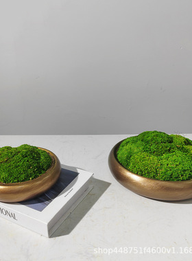 现代花艺轻奢摆件样板间茶几酒店洽谈桌面售楼处永生苔藓绿植摆放