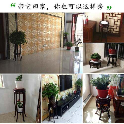 W7实木架客中厅木质式花绿几单个花落地室内置物萝F756TTM6吊兰花