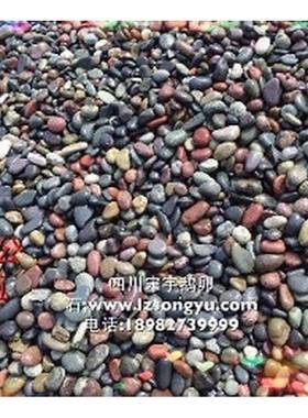 白雨花石厂色家卵石滤鹅料采购82152优质石规各种格优质