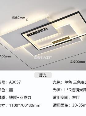 力225新款轻奢亚克吸顶0灯智其能科技感客厅卧室78189双用东南亚