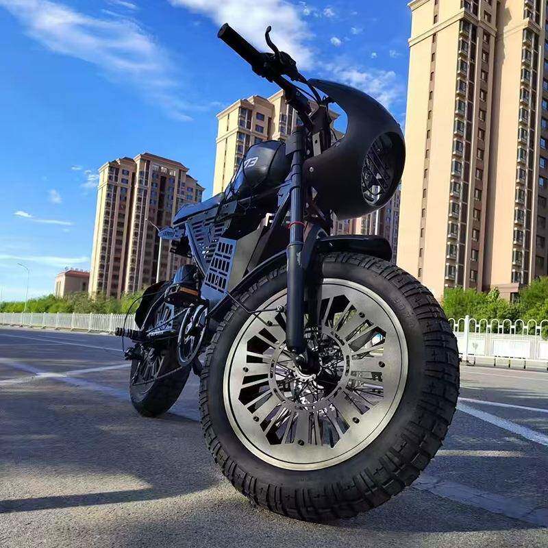 20寸电动001车车地山自行车越野助力锂电池小代步沙滩型摩托电瓶