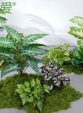 观佳鹊仿真绿植造景假苔梯藓JQ796273植物下装饰组合景仿生室内角
