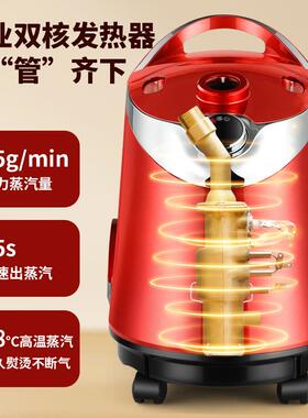 家挂烫用机服立装店商用58320熨烫机蒸汽式大功率