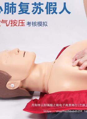 心肺复苏体模拟全半身人CP46630练R急救训橡皮人模型胸外按压操作