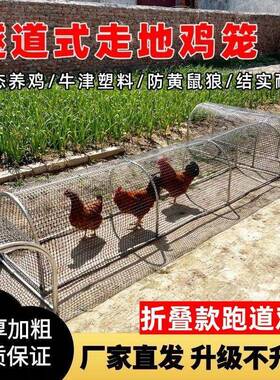 地鸡笼场养鸡隧道跑笼溜农庭走院户外鸡笼可折PKT叠折叠式达养殖