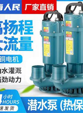 上海人民潜水泵2水20V单相家用抽寸62734寸农机用高扬程灌溉排污
