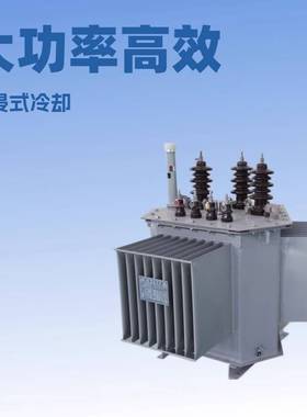 100KVA三相油浸式变压器10kv油变200/315KVA配电变压器