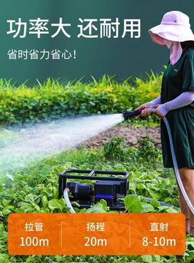 水泵电锂抽浇菜自吸电动OYN1充电式2v24v直流农用水大功率抽水机