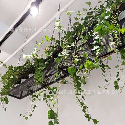 工业风链条式花中架阳台DC-FPT-0挂创意铁艺悬置物架空酒吧吊顶绿