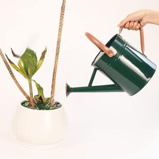 高欧美洒12345678品质水壶浇两花壶用4L