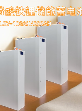 10KWH壁挂式家庭储能锂电池磷酸铁锂电池51.2V200Ah挂墙储能电池