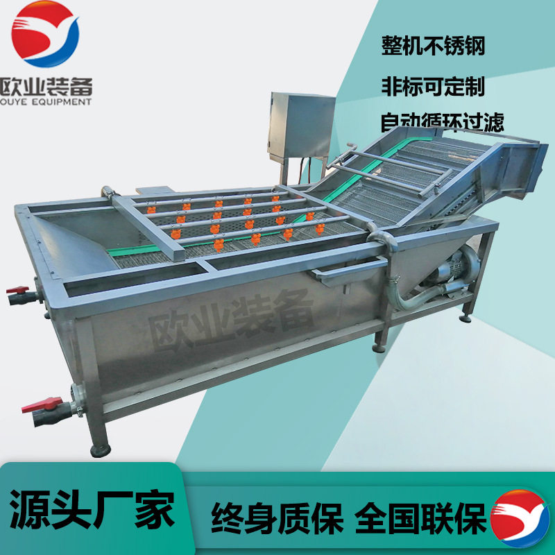 厂家直销果蔬清洗机 气泡冲浪喷淋臭氧洗果机 臭氧去农残清洗设备