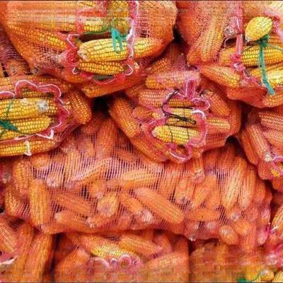 装棒玉米网袋编织加密加厚装的土豆大袋蒜洋葱VSC粗网格口袋大号