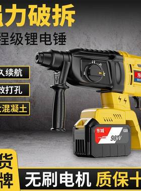 东城大率功无刷电电锤动扳手击电钻锂YPZ电套装工具充电式电镐冲