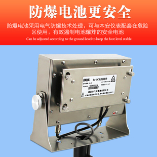 本安型防爆台秤100kg300公斤电子防爆称化工防爆称200kg电子秤