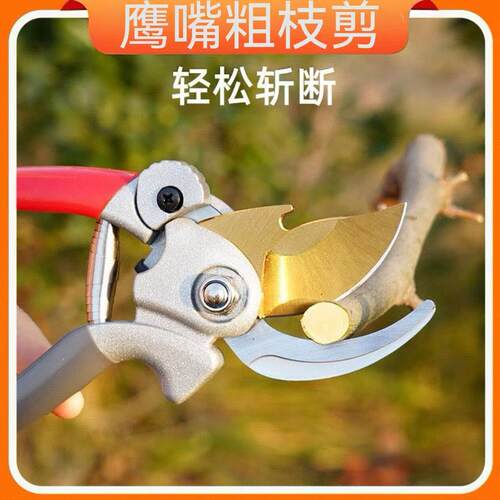 鹰嘴型剪枝刀园艺剪树枝果树果枝修枝剪花剪园林花艺强力省力粗枝