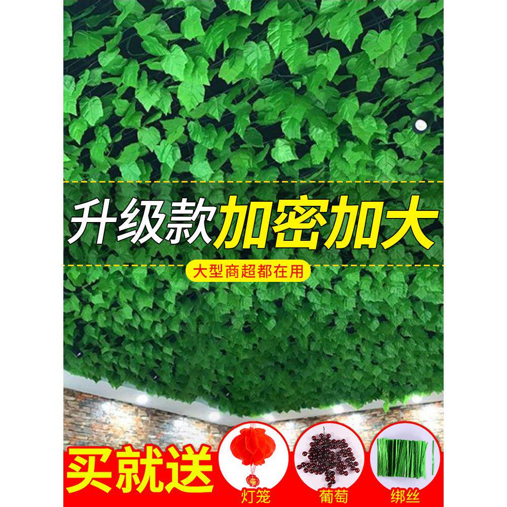 浓密的绿叶装饰藤条假树叶装饰植物爬藤模拟绿色植物塑料绿藤葡萄