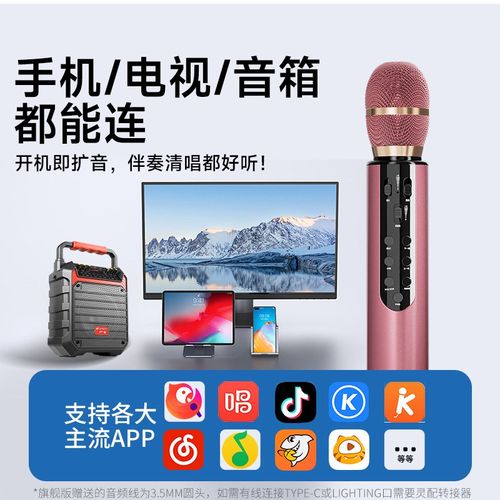 无线蓝牙话筒音响一体麦克风家用家庭k歌儿童卡拉ok唱歌2024新款
