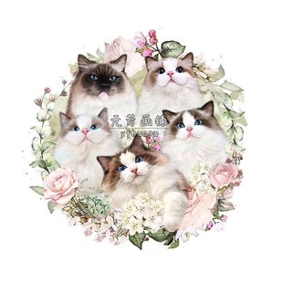 宠物猫手绘设计唯美图头像卡通个性 定制情侣插画漫画头像画像 Q版